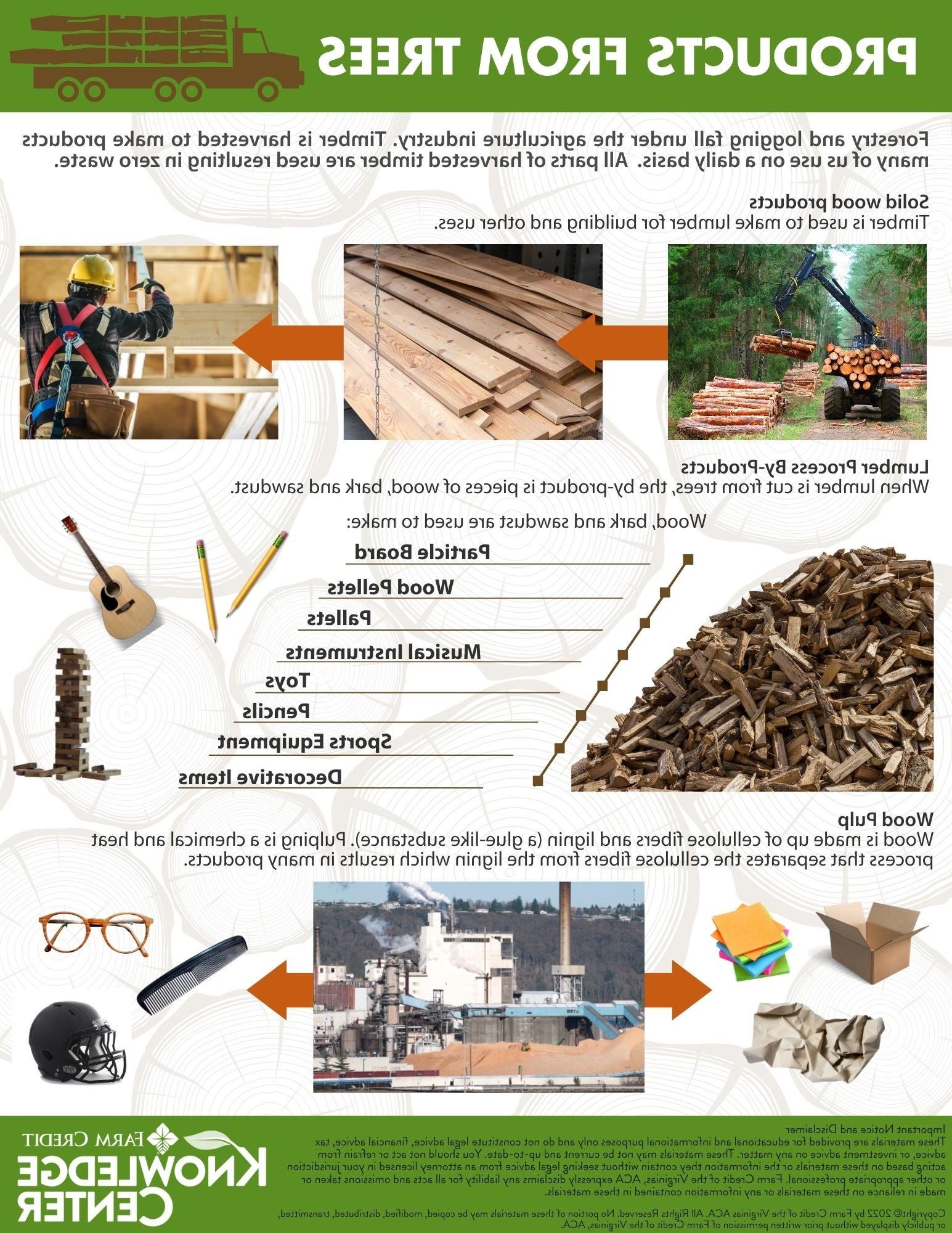 infographic on the products made from trees.